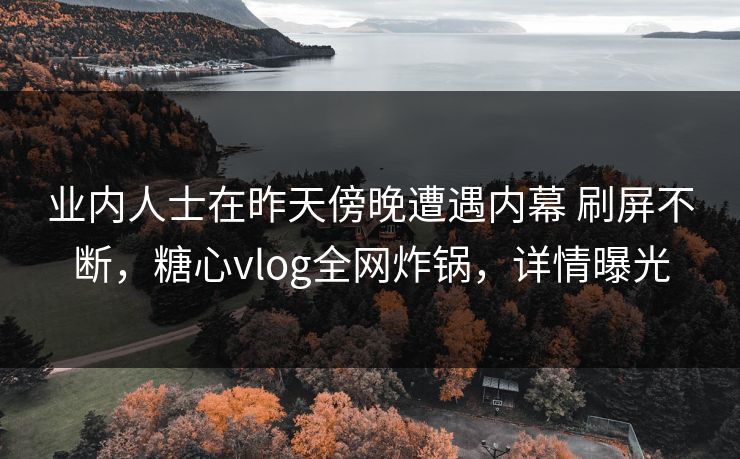 业内人士在昨天傍晚遭遇内幕 刷屏不断，糖心vlog全网炸锅，详情曝光  第1张