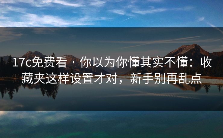 17c免费看 · 你以为你懂其实不懂：收藏夹这样设置才对，新手别再乱点