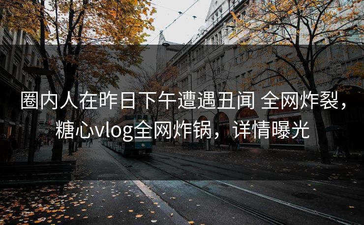 圈内人在昨日下午遭遇丑闻 全网炸裂，糖心vlog全网炸锅，详情曝光